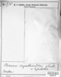 Image Associated With the Occurence